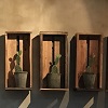 Boxes Recycled Timber With Cactus Plant Cute!.JPG